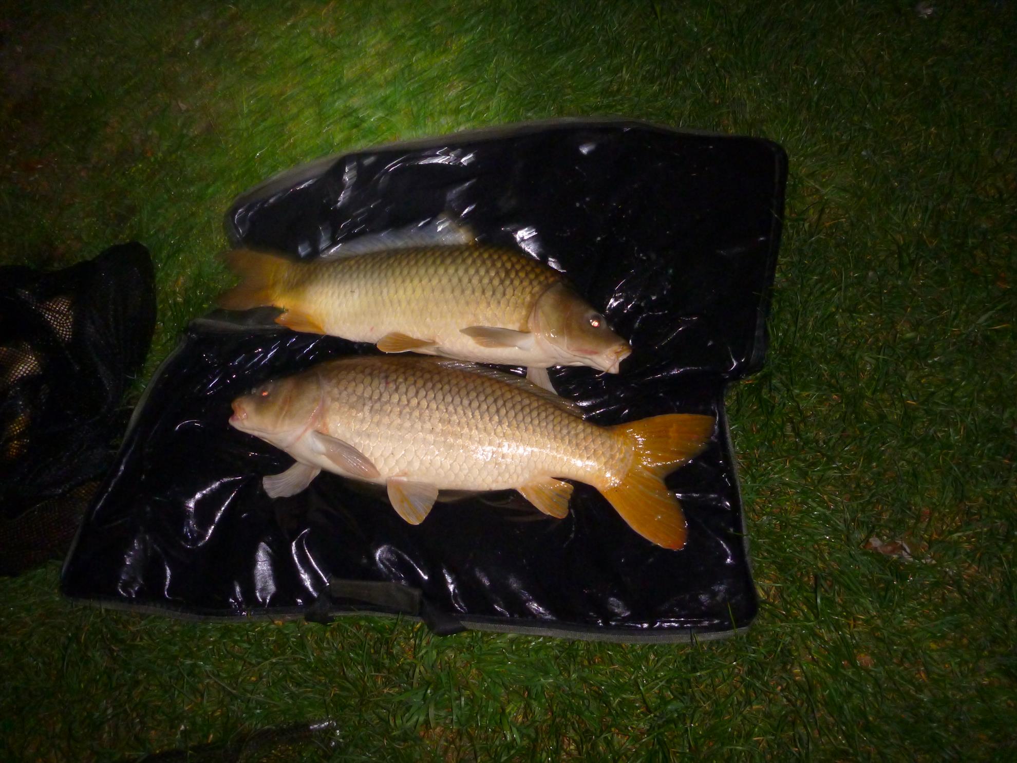 greaca-cercani 23-25 mai 2014 - p1020934.JPG